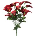Bukiet 12 anturium w kolorze czerwonym