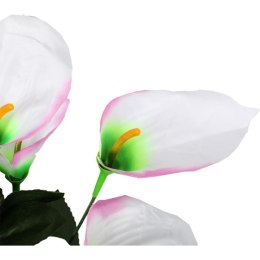 Bukiet 12 anturium w kolorze jasno-różowym