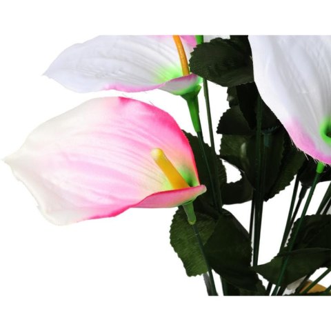 Bukiet 12 anturium w kolorze jasno-różowym