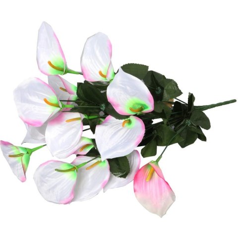 Bukiet 12 anturium w kolorze jasno-różowym