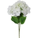 Bukiet 4 hortensji w kolorze białym