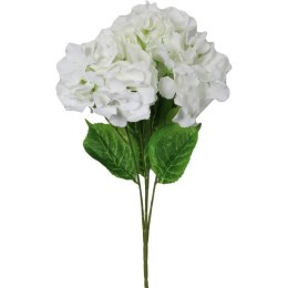 Bukiet 4 hortensji w kolorze białym
