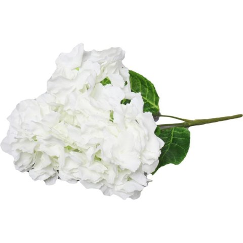 Bukiet 4 hortensji w kolorze białym