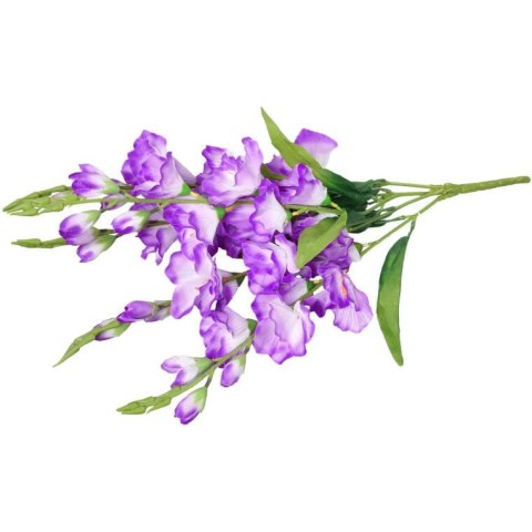 Bukiet 5 Fioletowych Gladioli o Wysokości 60 cm