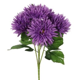 Bukiet 5 astrów w kolorze fioletowym