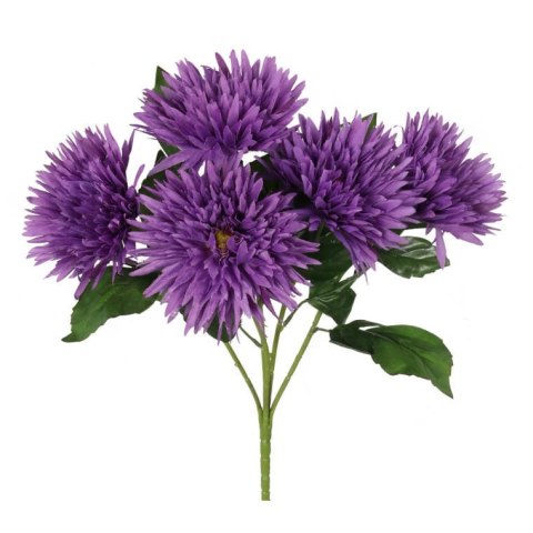 Bukiet 5 astrów w kolorze fioletowym