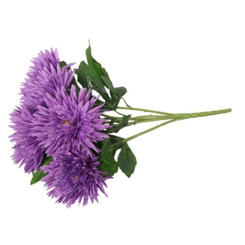 Bukiet 5 astrów w kolorze fioletowym