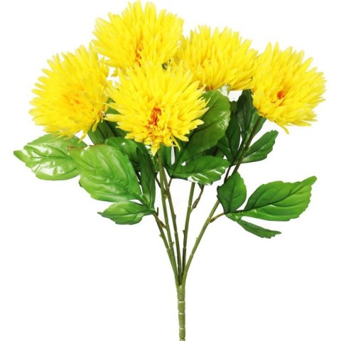 Bukiet 5 astrów w kolorze żółtym