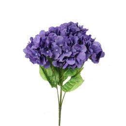 Bukiet 5 hortensji w kolorze fioletowym