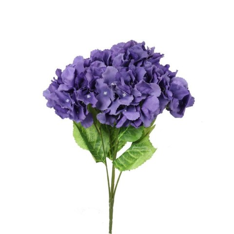 Bukiet 5 hortensji w kolorze fioletowym