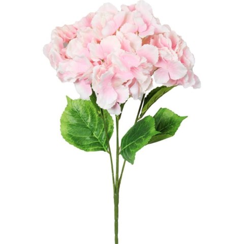 Bukiet 5 hortensji w kolorze różowym