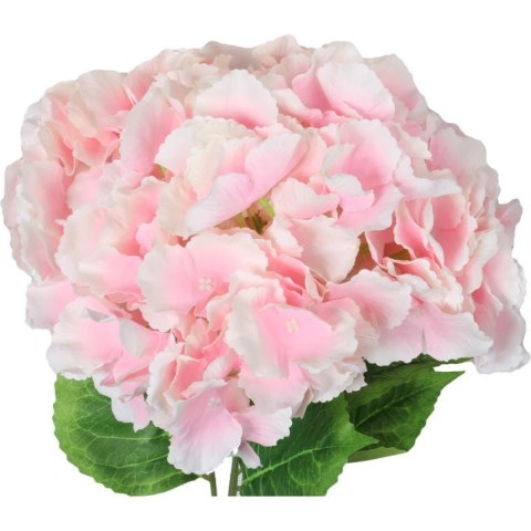 Bukiet 5 hortensji w kolorze różowym