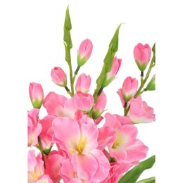 Bukiet 5 jasno różowych gladioli