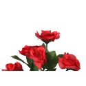 Bukiet 6 różyczek w kolorze czerwonym