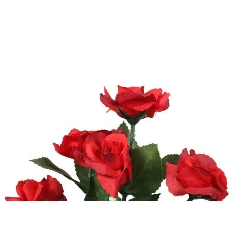Bukiet 6 różyczek w kolorze czerwonym