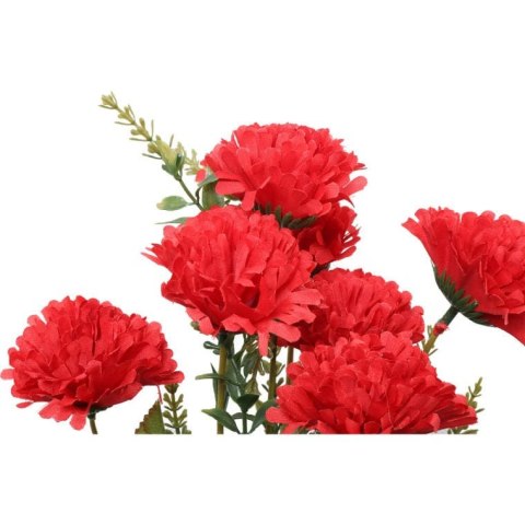 Bukiet 7 goździków w kolorze czerwonym