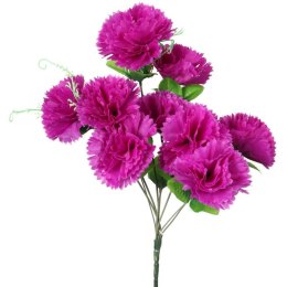 Bukiet 9 goździków z wąsami kolor fioletowy