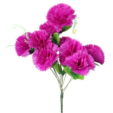 Bukiet 9 goździków z wąsami kolor fioletowy