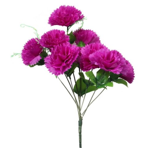 Bukiet 9 goździków z wąsami kolor fioletowy