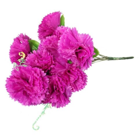 Bukiet 9 goździków z wąsami kolor fioletowy