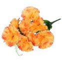 Bukiet 9 goździków z wąsami kolor pomarańczowy