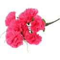 Bukiet 9 goździków z wąsami kolor różowy