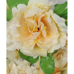 Bukiet 9 piwonii w kolorze kremowe