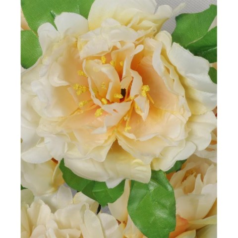 Bukiet 9 piwonii w kolorze kremowe