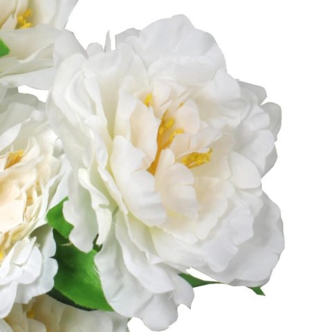 Bukiet 9 piwonii w kolorze białym