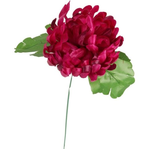 Chryzantema kwiat pojedynczy w kolorze bordowym z trawką