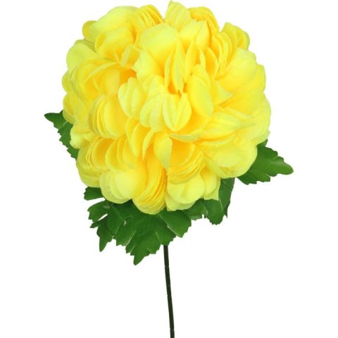 Chryzantema pojedynczy kwiat w kształcie kuli w kolorze żółtym