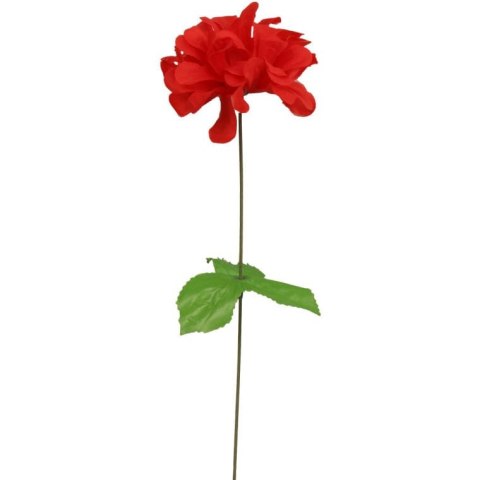 Chryzantema pojedynczy kwiat z listkiem w kolorze czerwonym