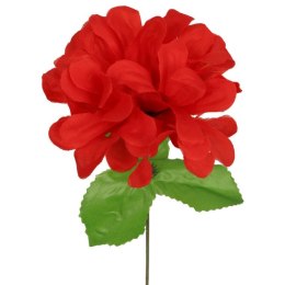 Chryzantema pojedynczy kwiat z listkiem w kolorze czerwonym