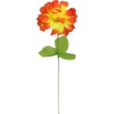 Chryzantema pojedynczy kwiat z listkiem w kolorze pomarańczowym
