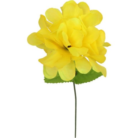 Chryzantema pojedynczy kwiat z listkiem w kolorze żółtym