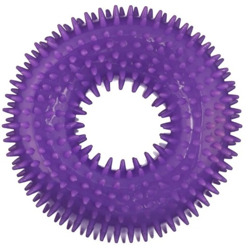 Fioletowy Gryzak Piszczący dla Zwierząt z Bezpiecznego Tworzywa