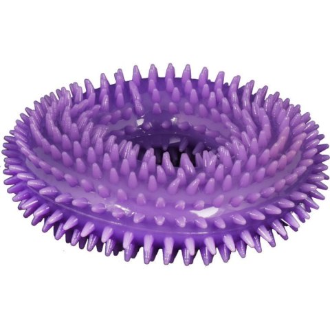 Fioletowy Gryzak Piszczący dla Zwierząt z Bezpiecznego Tworzywa