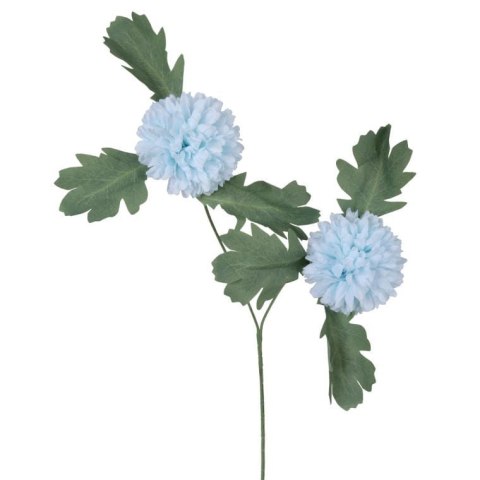 Gałązka podwójnego czosnku w kolorze niebieskim