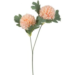 Gałązka podwójnego czosnku w kolorze pomarańczowym