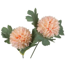 Gałązka podwójnego czosnku w kolorze pomarańczowym