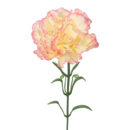 Goździk Sztuczny Żółto-Różowy Cieniowany 50 cm