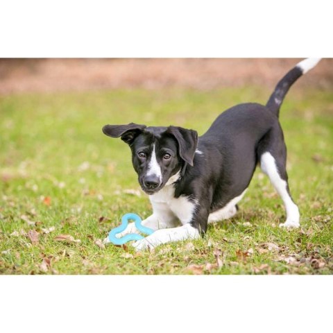 Gumowy Gryzak dla Zwierząt w Kolorze Różowym