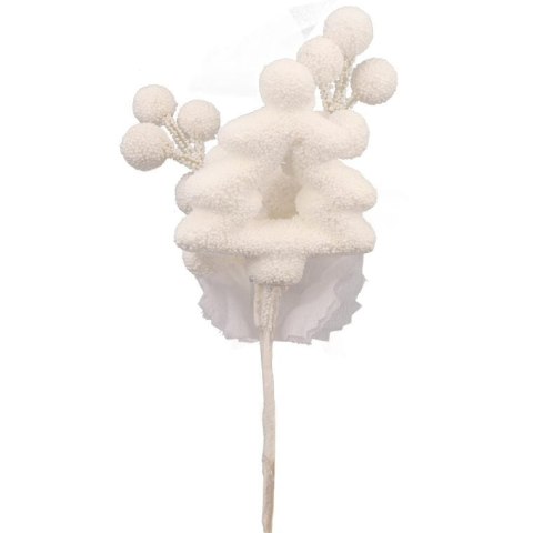 Pik z kulkami, XY-15-136