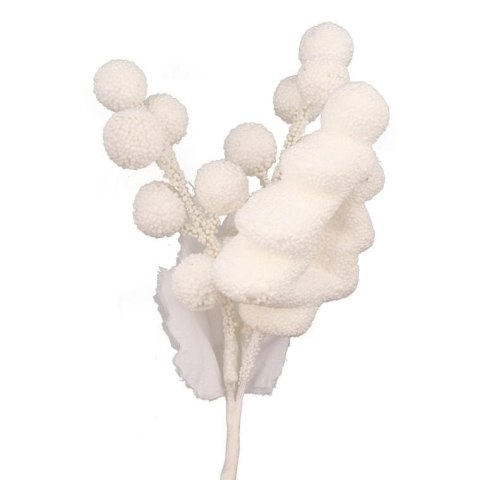 Pik z kulkami, XY-15-136