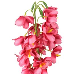 STORCZYK CIEMNO-ŁOSOSIOWYM