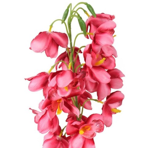 STORCZYK CIEMNO-ŁOSOSIOWYM