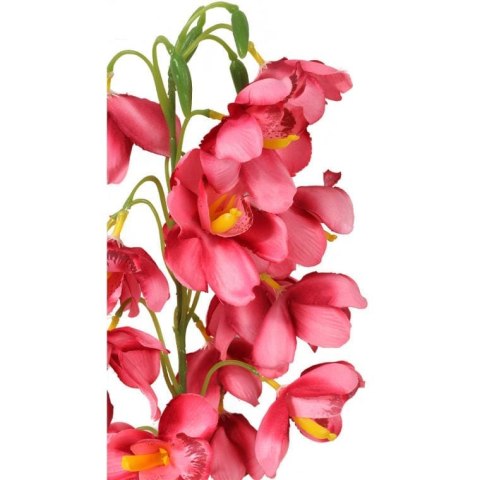 STORCZYK CIEMNO-ŁOSOSIOWYM