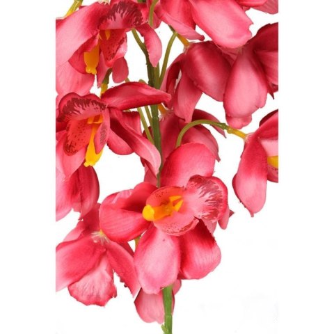 STORCZYK CIEMNO-ŁOSOSIOWYM