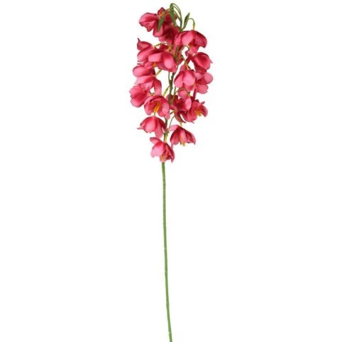 STORCZYK CIEMNO-ŁOSOSIOWYM