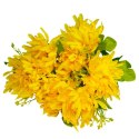 Bukiet 7 chryzantem z dodatkami, 35 cm, żółty